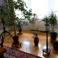 Villa hébergement pas cher près de Gdansk, repos en Pologne